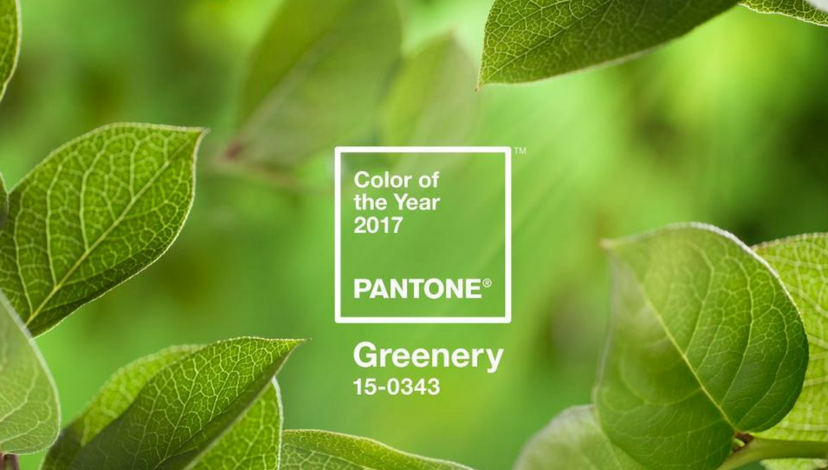 A Greenery Light on Color for 2017